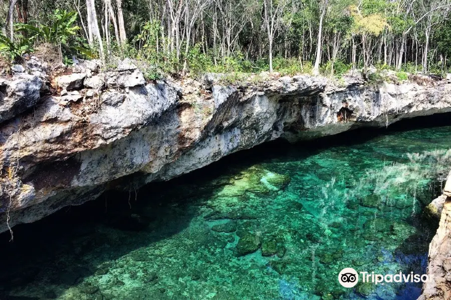 Cenotes Casa Tortuga Tulum