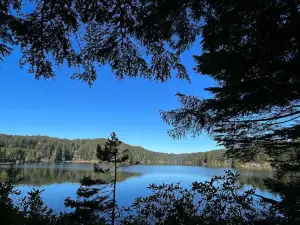 William M. Tugman State Park