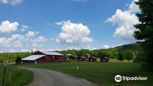 Farm Sanctuary