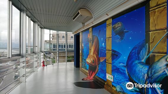 Numazu port Observatory Water Gate View-O