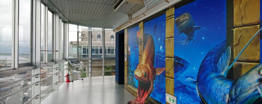 Numazu port Observatory Water Gate View-O