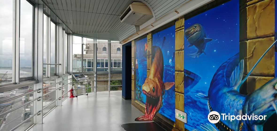 Numazu Travel Guide 2024 Things to Do, What To Eat & Tips