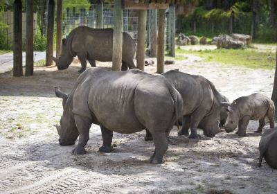 羅瑞公園動物園