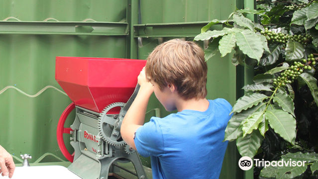 Finca Casanga Coffee and Tours