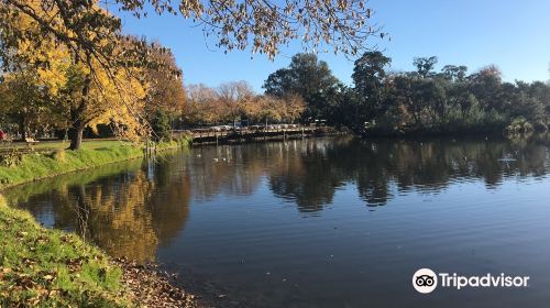 Lake Weeroona