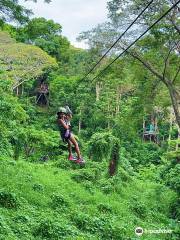 Sleeping Giant Zipline, Orchid Falls & Jungle Safari