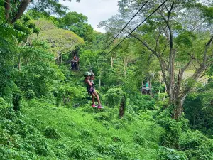 Sleeping Giant Zipline, Orchid Falls & Jungle Safari