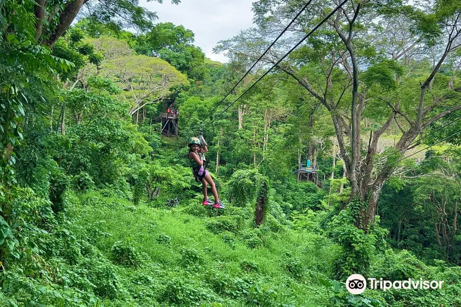 Sleeping Giant Zipline, Orchid Falls & Jungle Safari