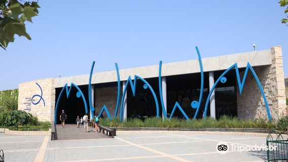 Israel Aquarium