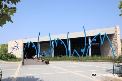 Аквариум Израиль