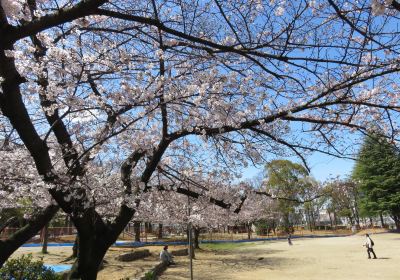 戎公園(ザビエル公園)