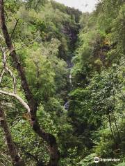 Réserve naturelle nationale de Corrieshalloch Gorge