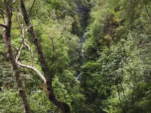 Corrieshalloch Gorge National Nature Reserve