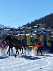 White Turf Racing Association, St. Moritz