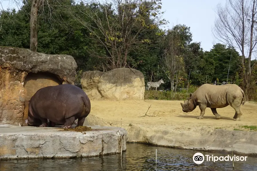 仙臺市八木山動物園