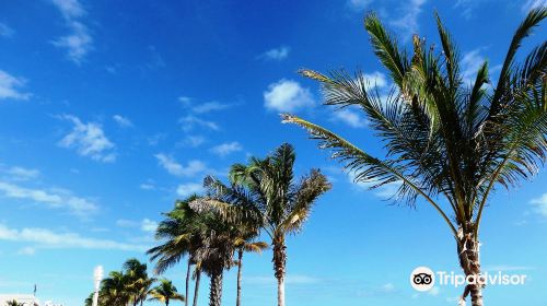 Hollywood Beach Broadwalk