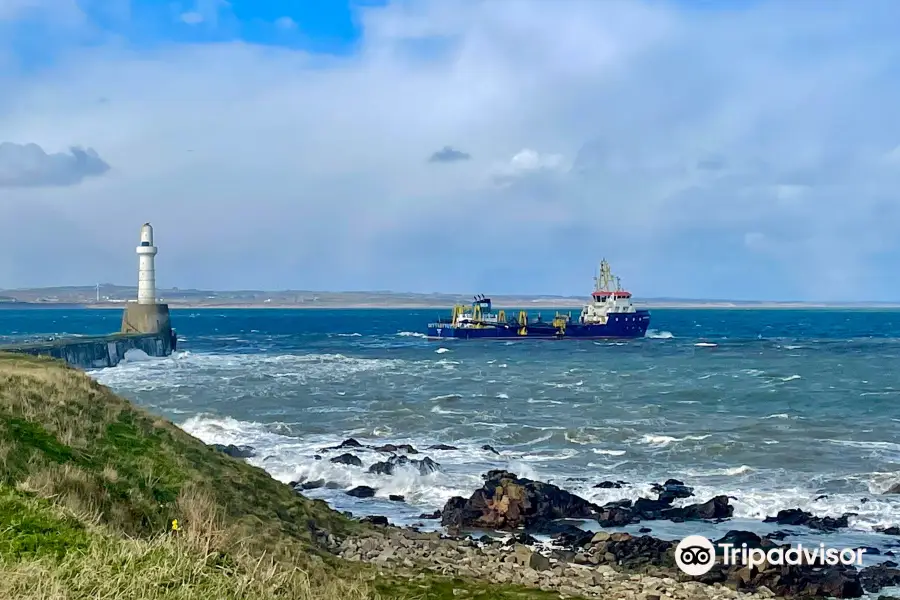 Torry Battery