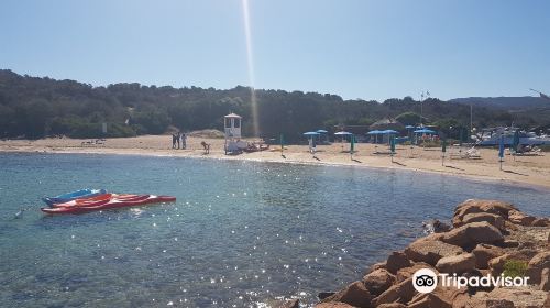 Costa Corallina Beach