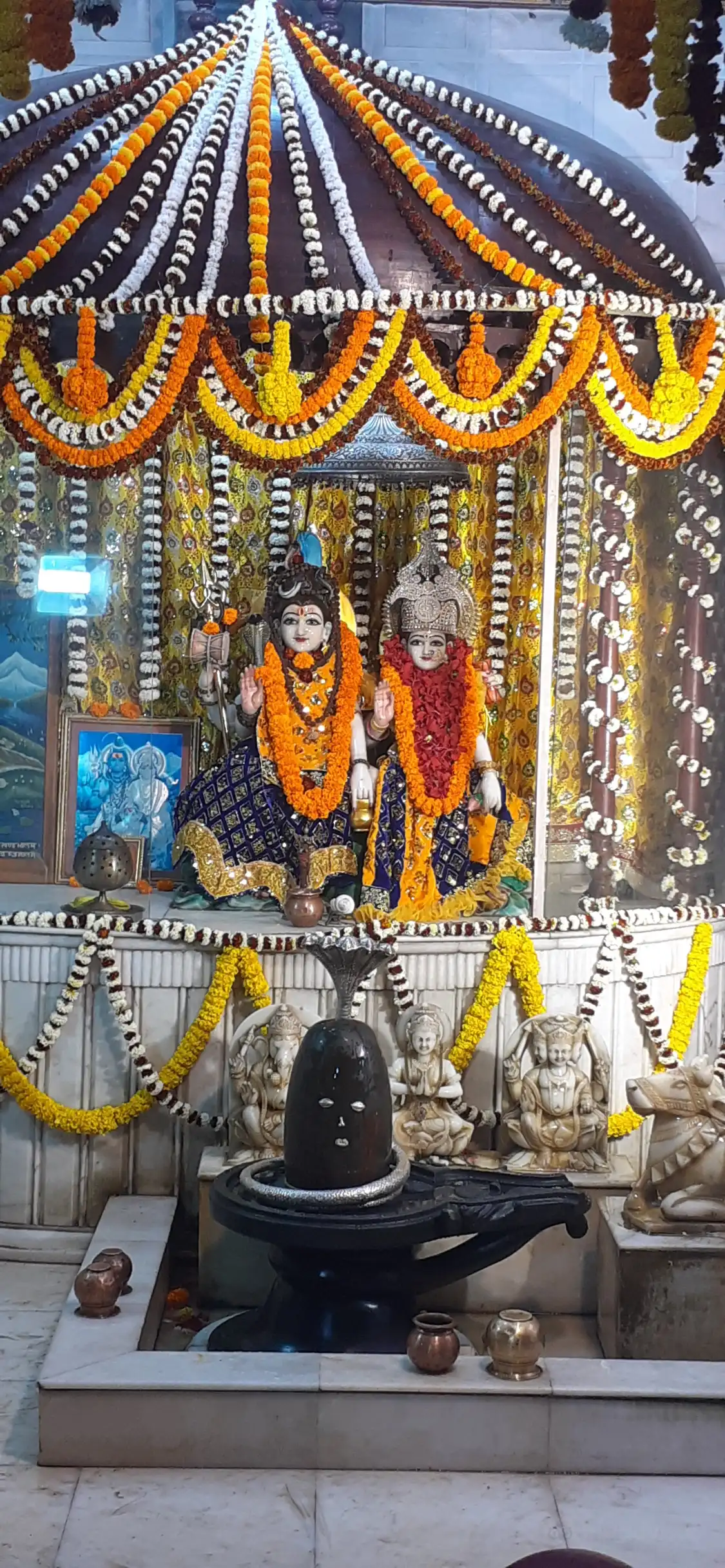 Hotels near Shree Shyam Mandir Ghusuridham