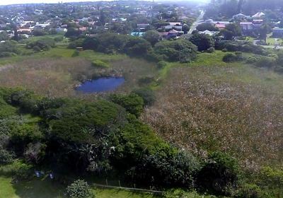 Gonubie Mouth Bird Sanctuary