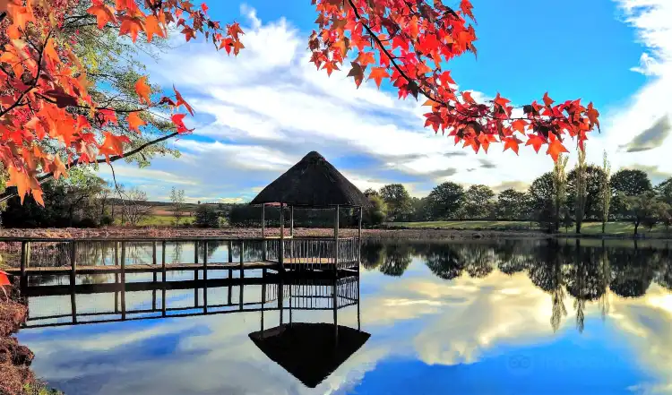 Hotels in East Griqualand