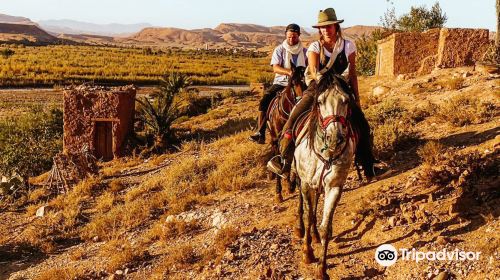 Nomad Horse Riding