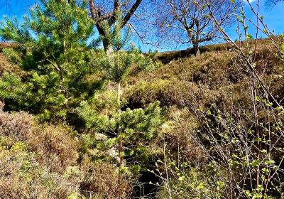 Creag Choinnich