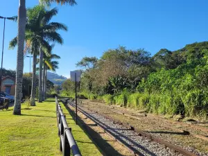 Train Guararema