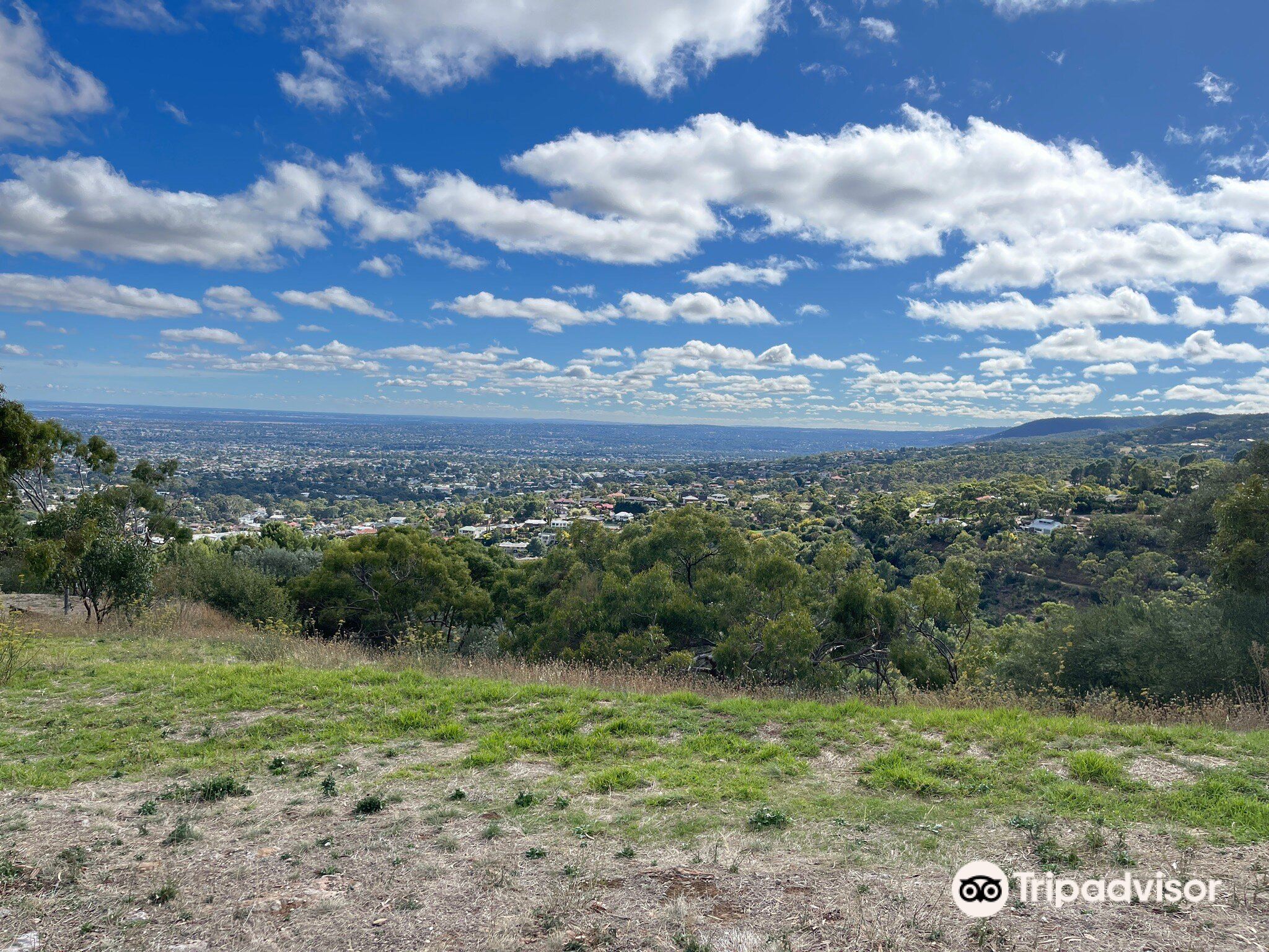 kensington-road-lookout-photos-map-reviews-2024-trip