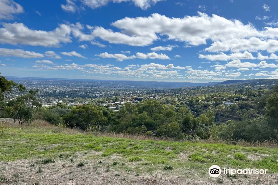 Kensington Road Lookout