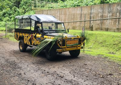 Raro Mountain Safari Tour