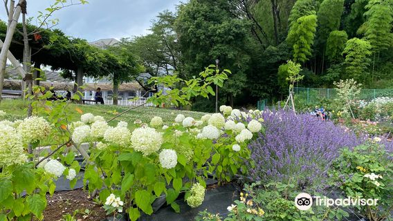 Machida City Nodatsu Park