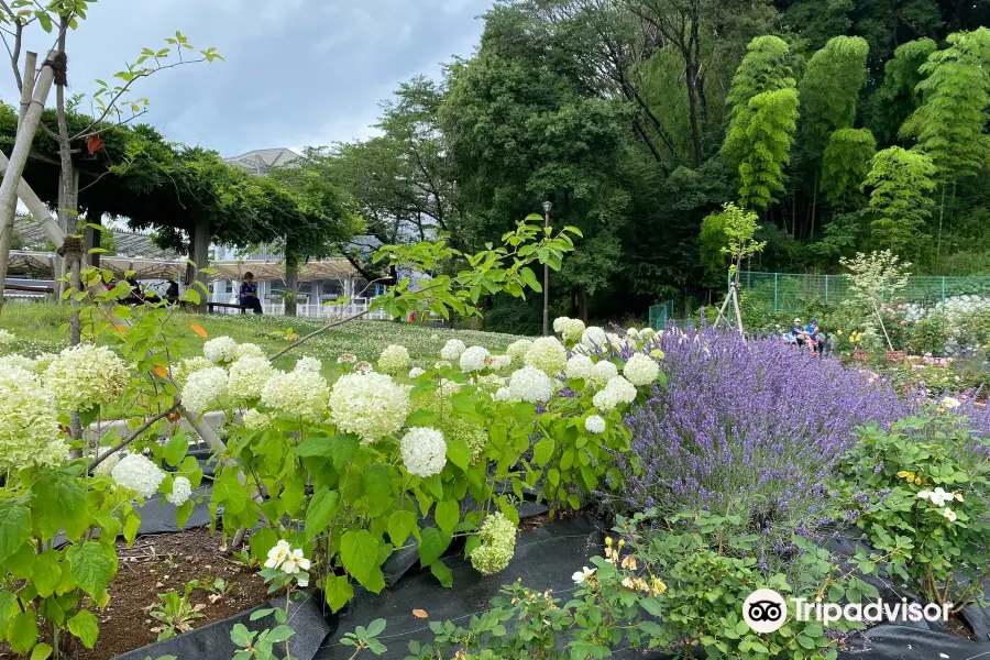 Machida City Nodatsu Park