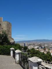 Cittadella dei Musei