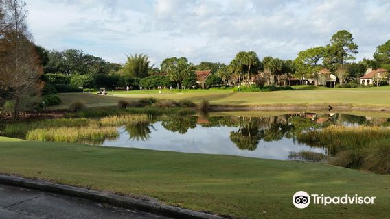 Grand Cypress Golf