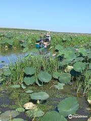 Astrakhan State Nature Reserve