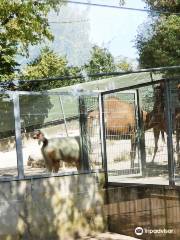 Der Kleine Tierpark Göppingen e.V.