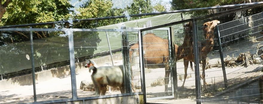 Tierpark