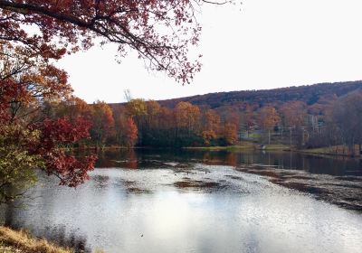 Big Pocono State Park