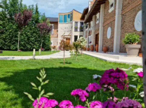 Nurellari Winery Cellar and Guest House