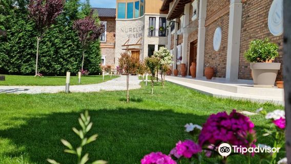 Nurellari Winery Cellar and Guest House