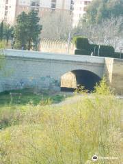 Pont de San Rafael