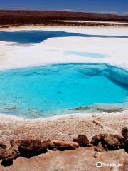 Lagunas Baltinache