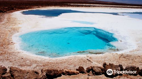 Lagunas Baltinache