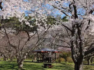 Morimachi Oniushi Park