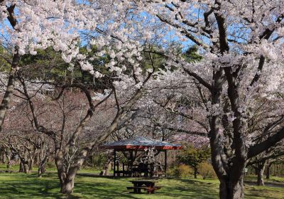 Morimachi Oniushi Park