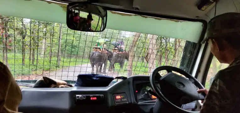 Hotel berhampiran Bengal Safari