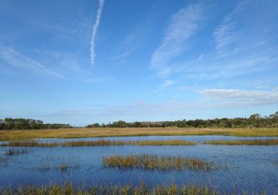 Dutton Island Preserve