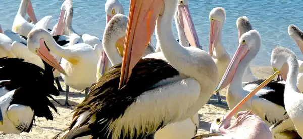 Hotels in Labrador