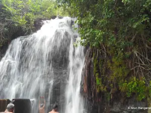 Agathiyar Falls